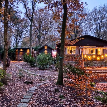 Lodge In Een Bosrijke Omgeving Met Hottub & Sauna Opt Rheezerveen 외부 사진