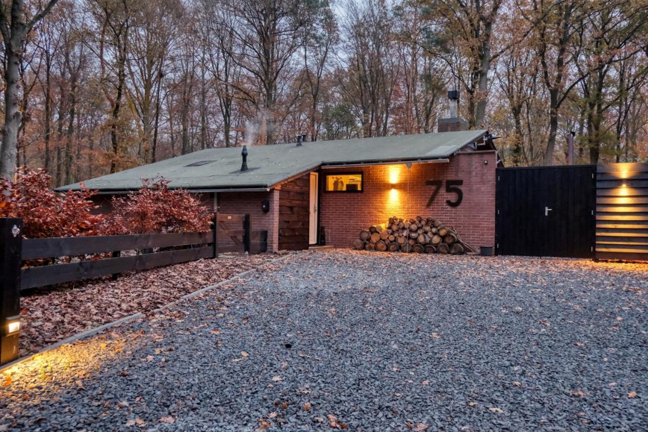Lodge In Een Bosrijke Omgeving Met Hottub & Sauna Opt Rheezerveen 외부 사진