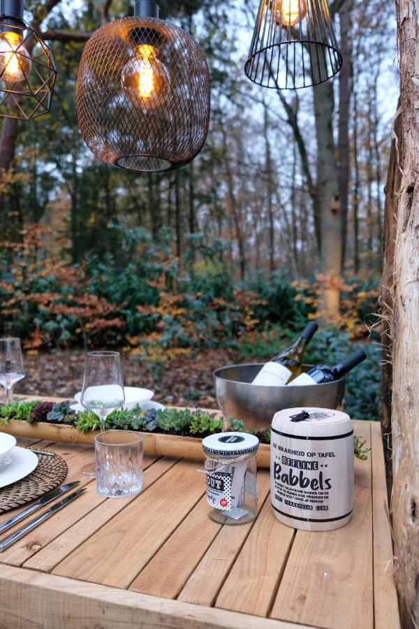 Lodge In Een Bosrijke Omgeving Met Hottub & Sauna Opt Rheezerveen 외부 사진